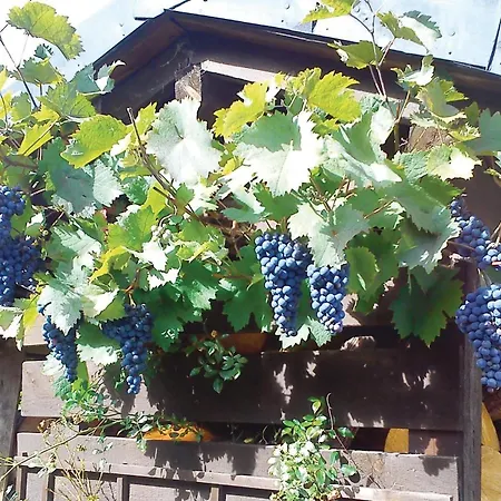 Holiday home 3 Bedroom Cozy In Friesenhagen